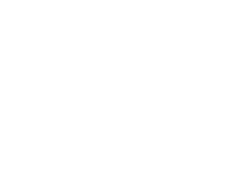 Garman Turner Gordon Logo