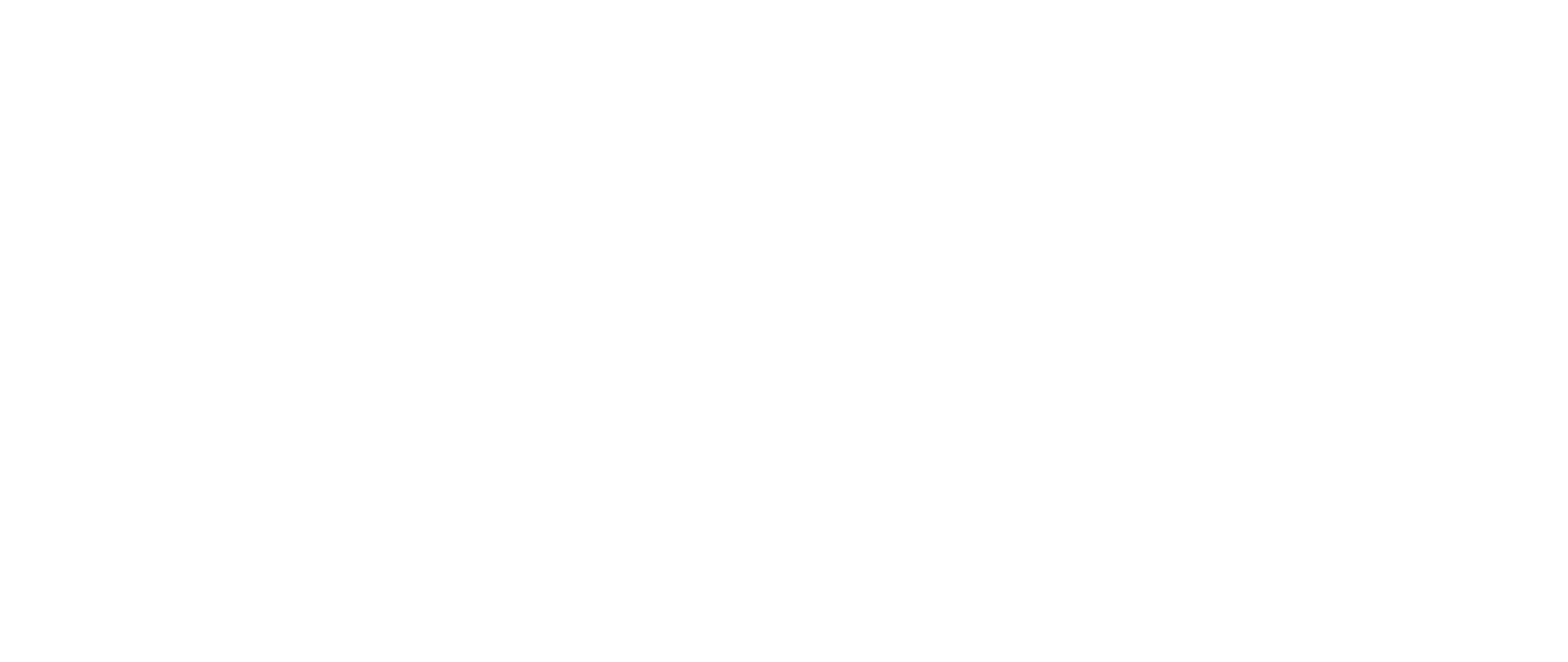 New Angle Development Logo